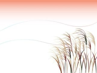「最近、抜け毛が増えた？」秋の髪に起こる変化とは