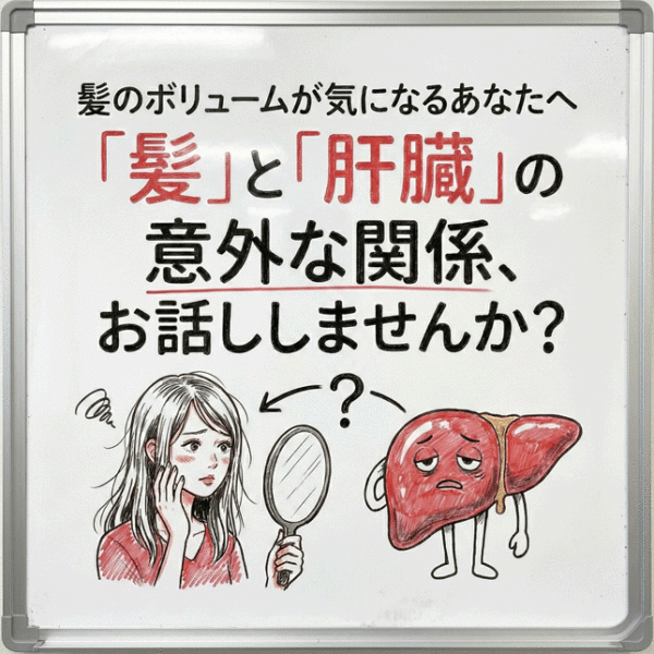 髪のボリュームが気になるあなたへ「髪」と「肝臓」の意外な関係、お話ししませんか？